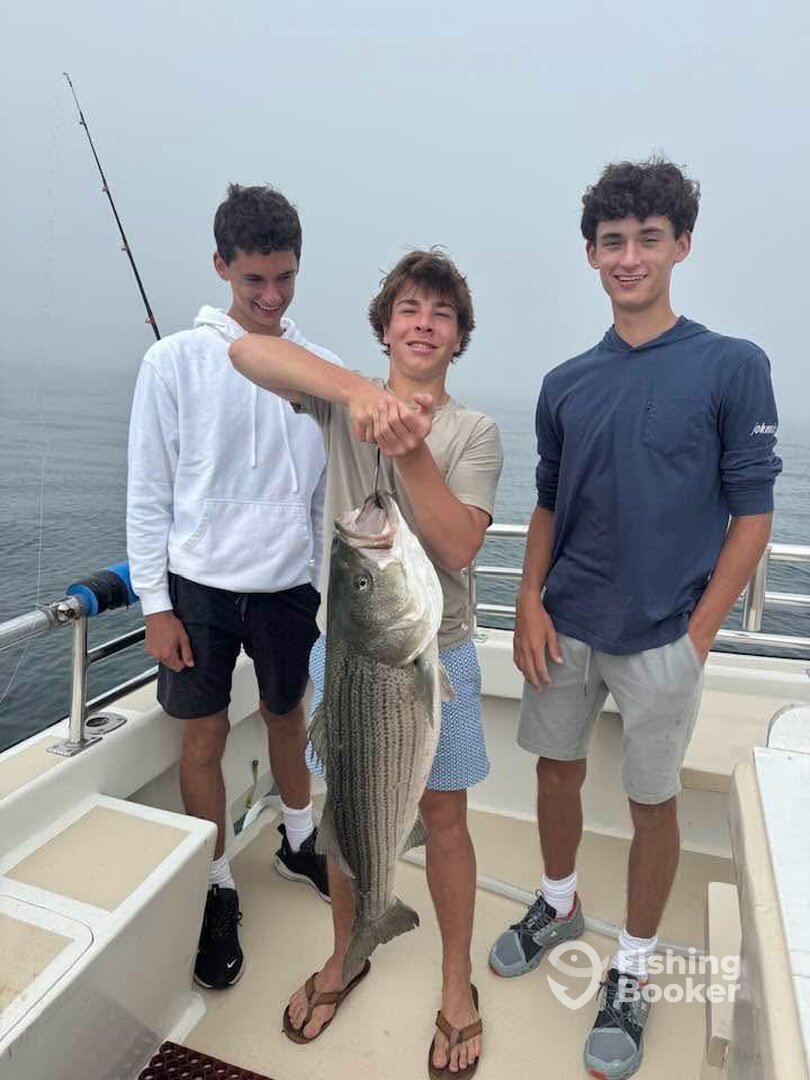 Montauk Report Photo 0