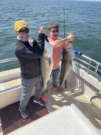 Montauk Report Photo 2