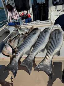 June 22nd Fishing Report 