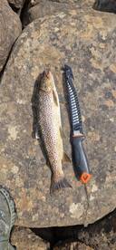 Guided fishingtrip on Hardangervidda, we