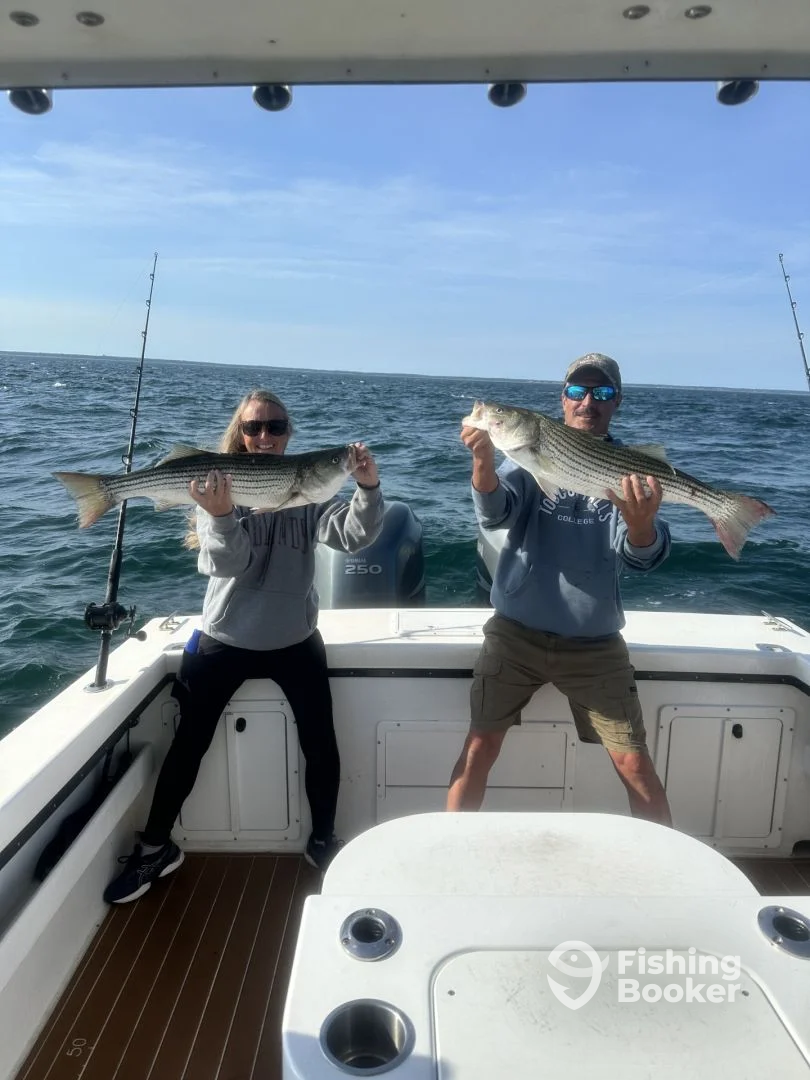 Cape Cod Bay Report Photo 0