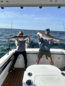 Bass Bonanza! 