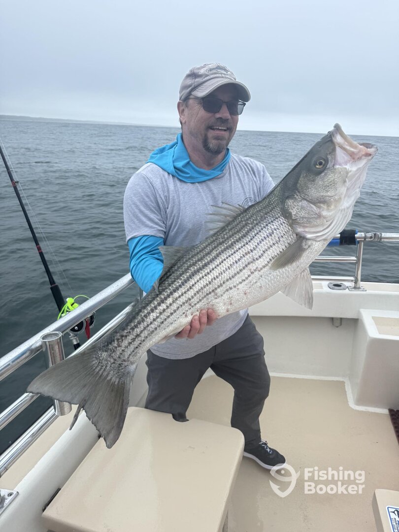 Montauk Report Photo 0