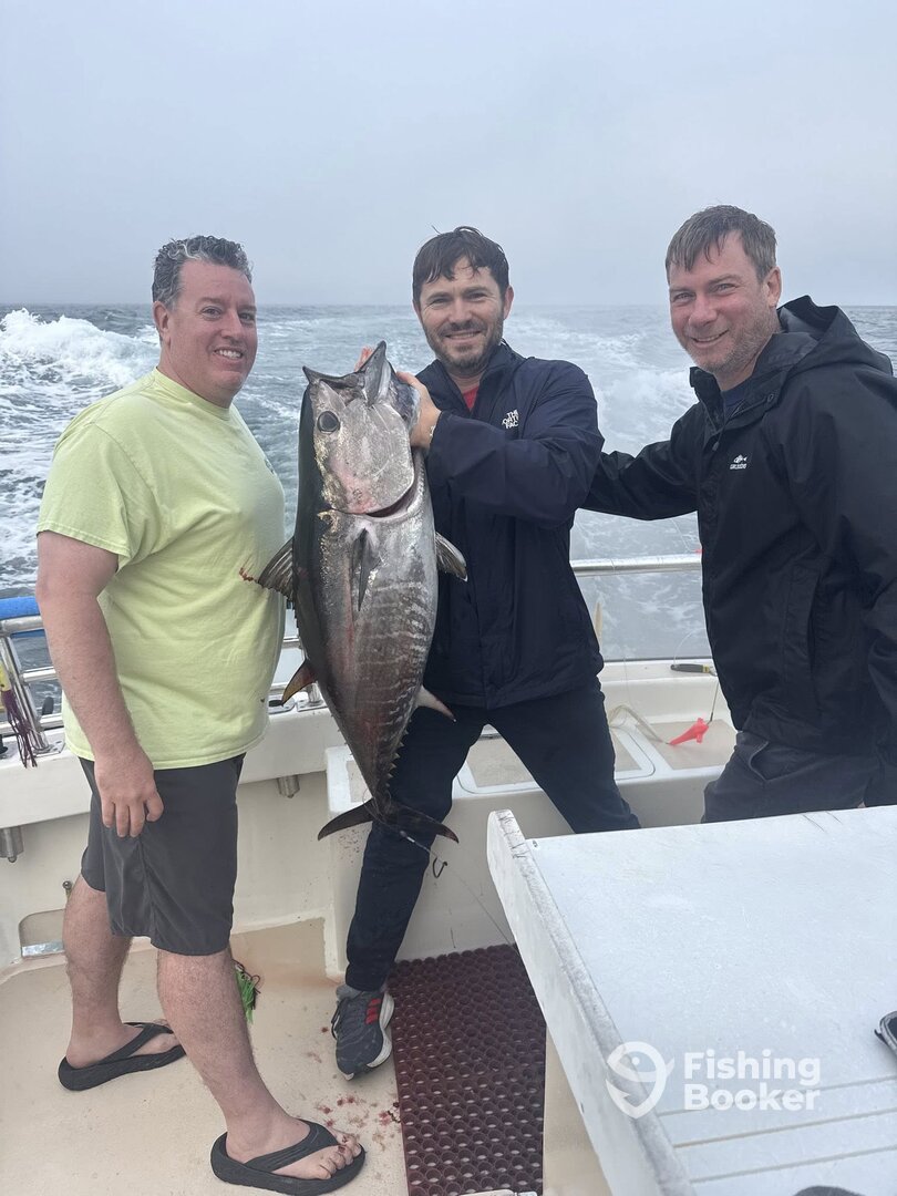 Montauk Report Photo 0