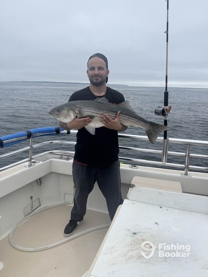 Montauk Report Photo 0