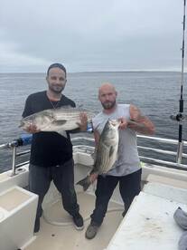 Montauk Report Photo 2