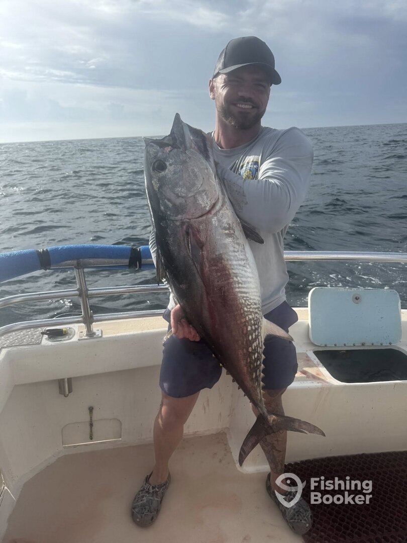 Montauk Report Photo 0