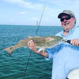 Late Summer, Fall preview