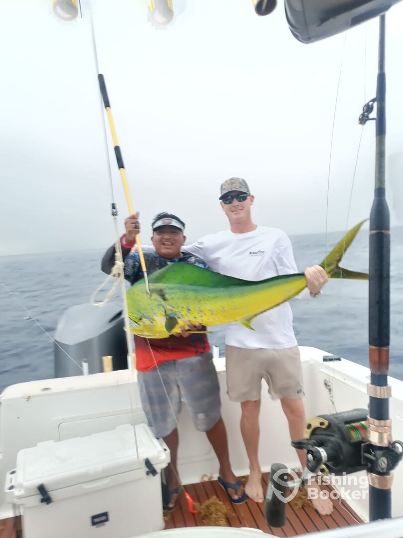 Playa Del Carmen Report Photo 0