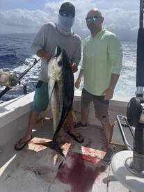 Kailua-Kona Report Photo 2