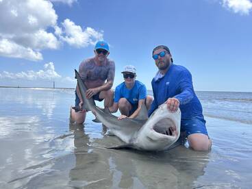 St. Helena Island Report Photo 1
