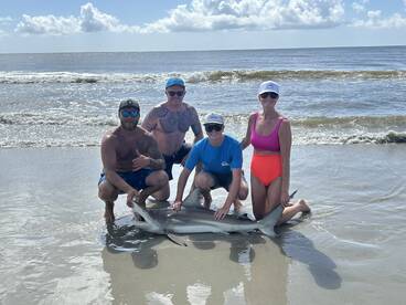 St. Helena Island Report Photo 2