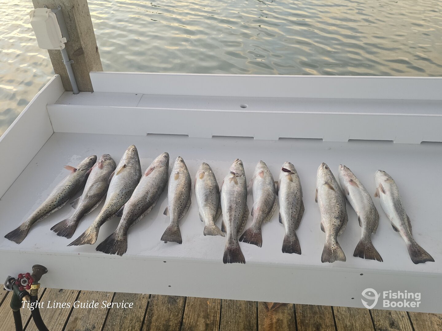 Port O'Connor Report Photo 0
