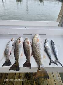 Port O'Connor Report Photo 1