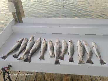 Summertime Fishing on Fire 