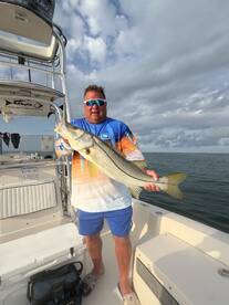 Sarasota Report Photo 2