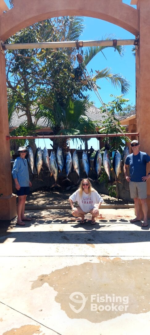 San Jose del Cabo Report Photo 0