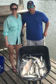 Hurricane Harvey spared us in Cocodrie p