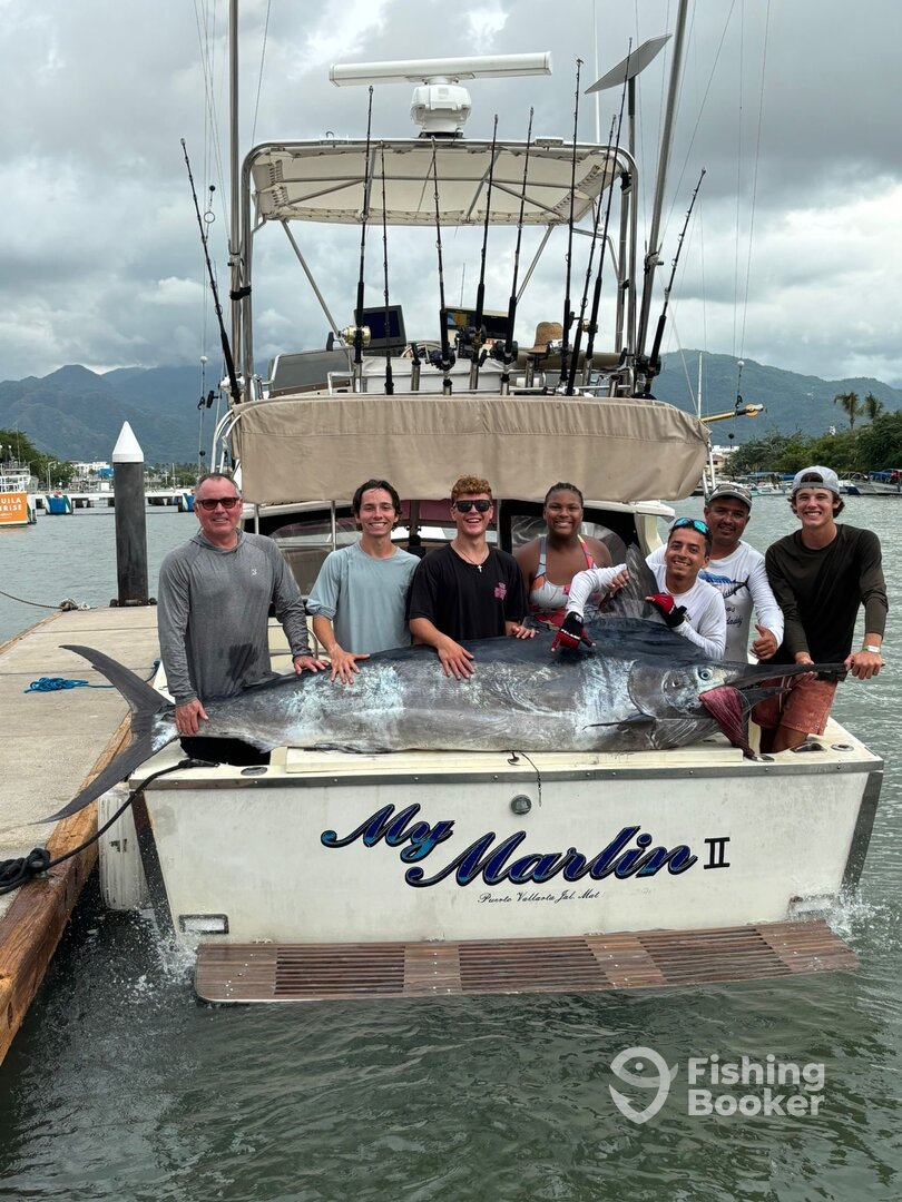 Puerto Vallarta Report Photo 0