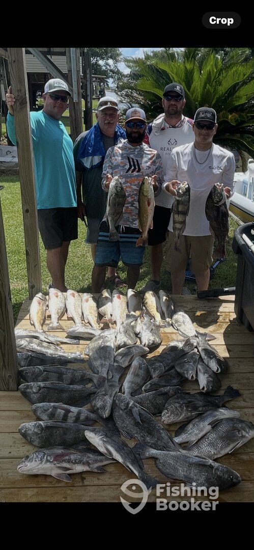 Hackberry Report Photo 0