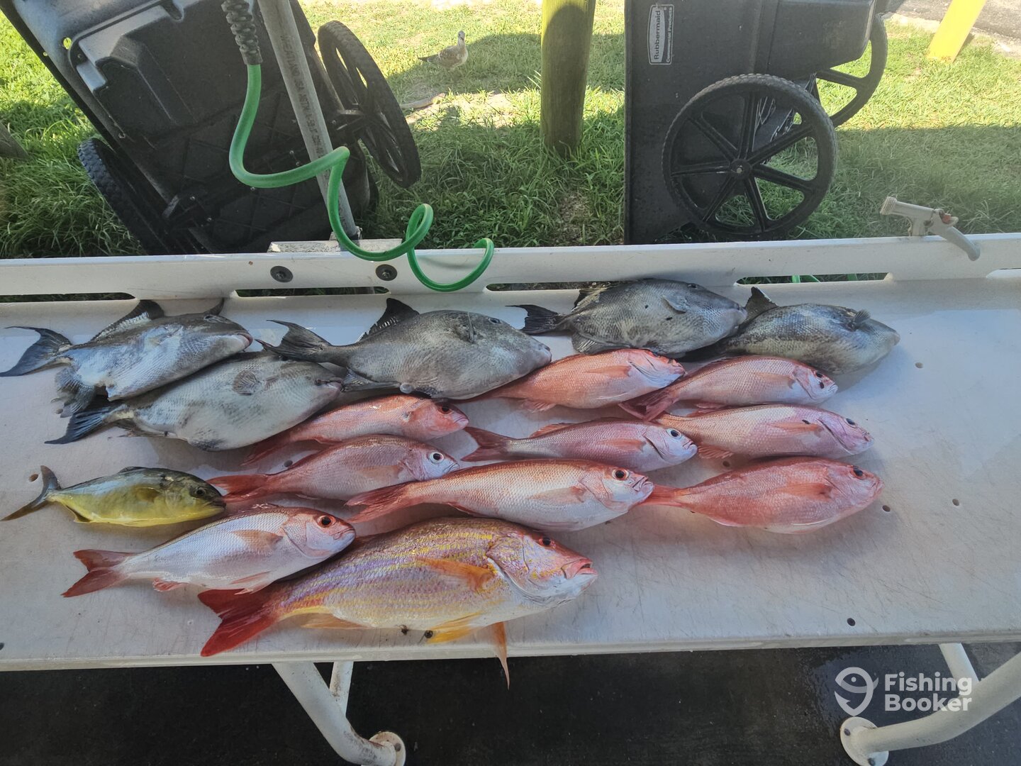 Jacksonville Report Photo 0