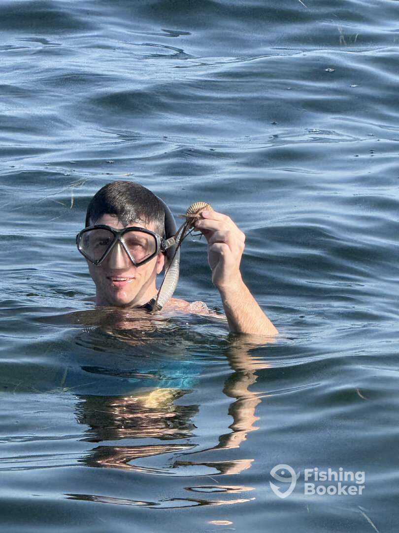 Crystal River Report Photo 0