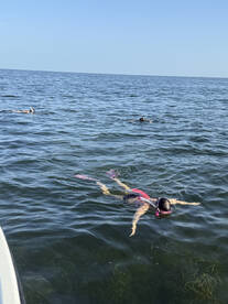 Crystal River Report Photo 2