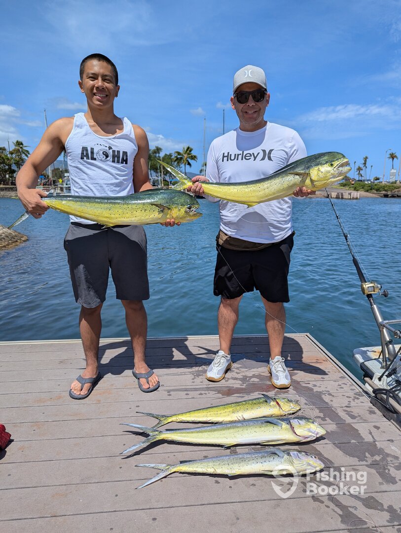 Haleiwa Report Photo 0