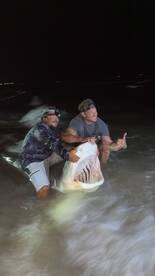 Corpus Christi Report Photo 1