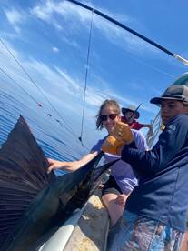 Sail Fish + Groupers