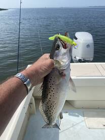 Fishing lately 