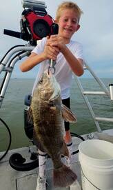 Galveston Report Photo 1