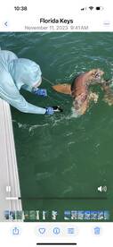 Islamorada Report Photo 1
