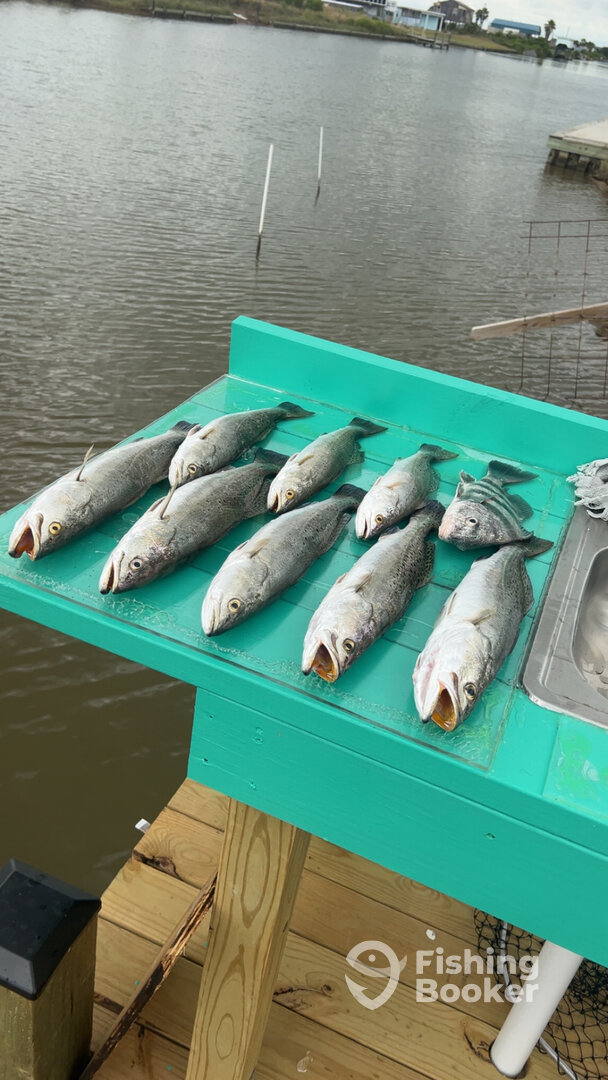 Matagorda Report Photo 0