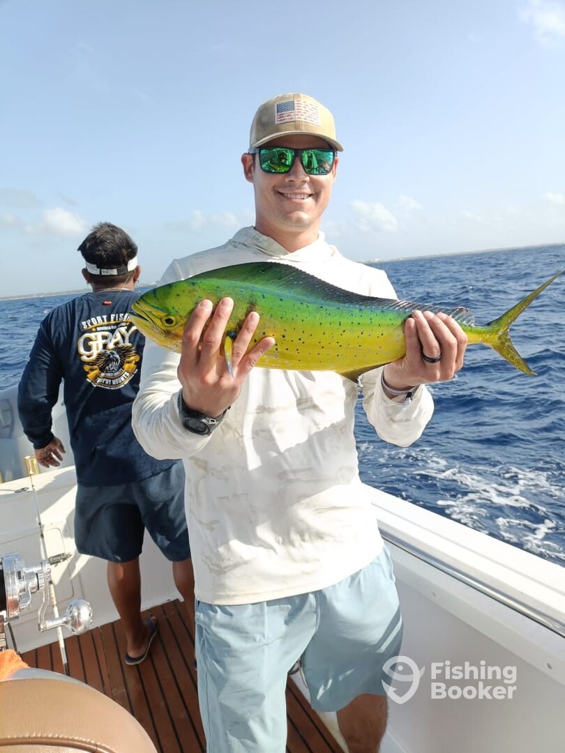 Playa Del Carmen Report Photo 0
