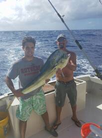 Summer and Fall Fish Collide