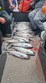 Columbia River Report Photo 2
