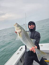 Beverly Report Photo 2