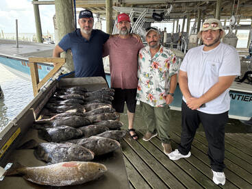 San Leon Report Photo 1