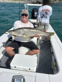 Loxahatchee River Report Photo 4