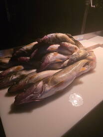 Come get you some!!!!