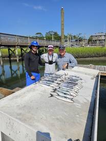 Wilmington Report Photo 2