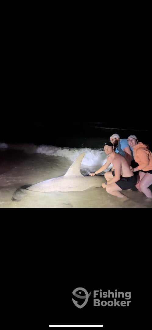 Destin Report Photo 0