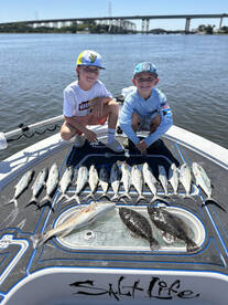 Amelia Island Report Photo 2