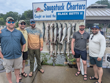 Saugatuck Report Photo 1