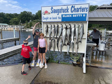 Saugatuck Report Photo 2