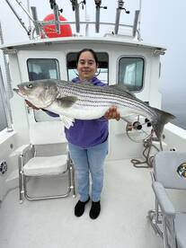 Striped Bass Action!!!!
