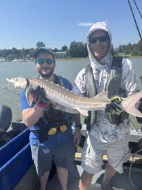 A good starter fish