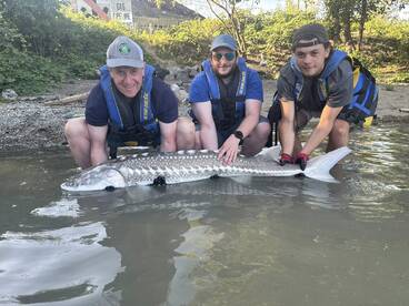 Team effort on the