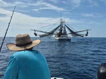 Kingfish are on fire!